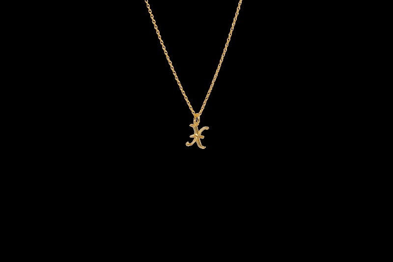 Ix X Bogstav Charm