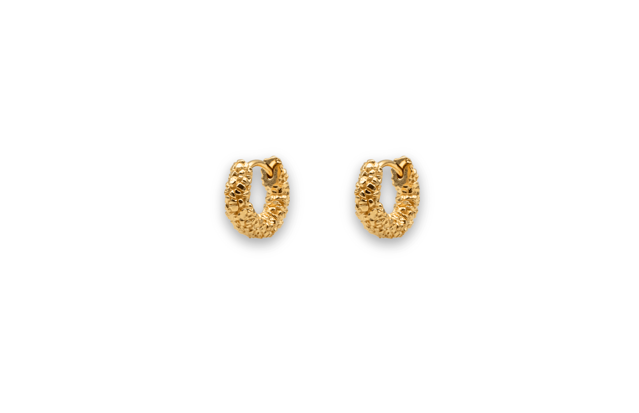 Ix Zoe Earring
