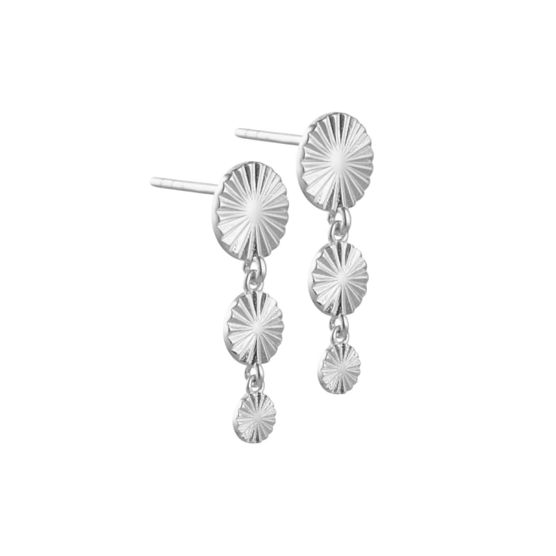 Line Coin Long Silver