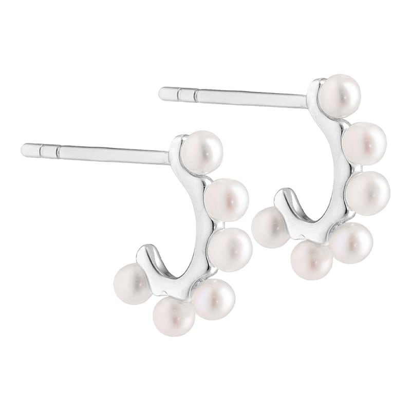 Patricia Hoops Silver