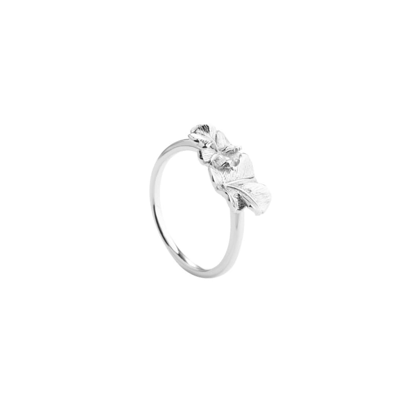 Folio Ring - 52  Silver